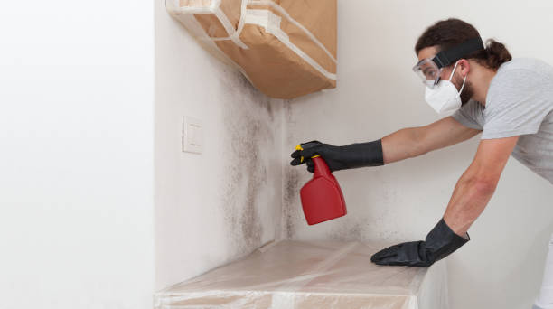 Professional Attic Mold Remediation technician working in Gettysburg, PA