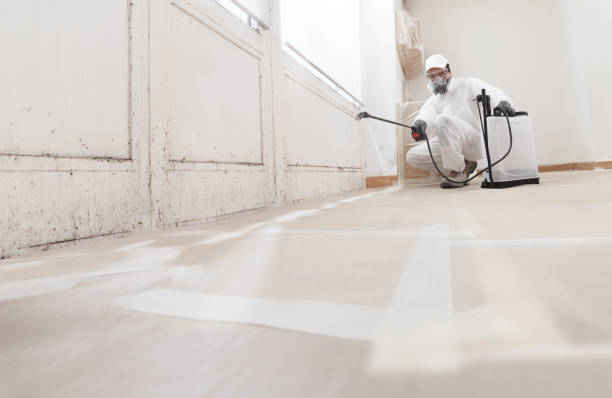 24/7 Emergency Attic Mold Remediation experts in Gettysburg, PA
