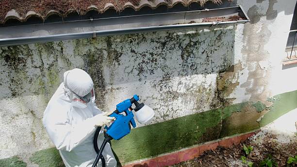 Top rated local Attic Mold Remediation specialists in Gettysburg, PA